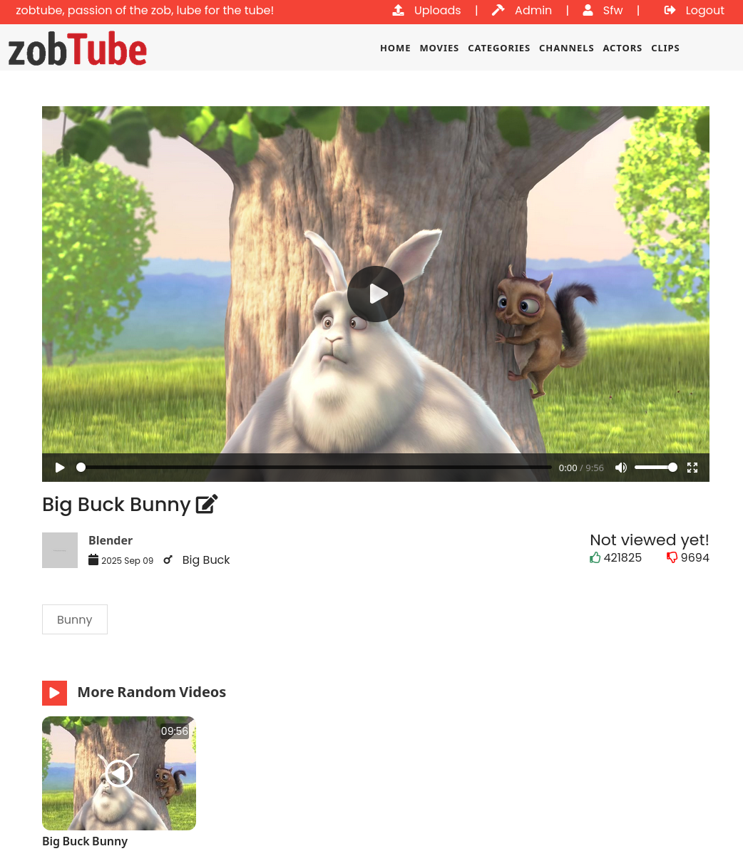 video viewer