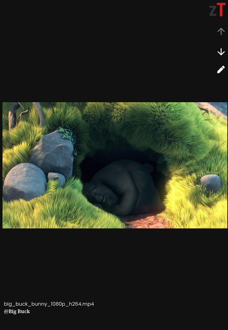video viewer short